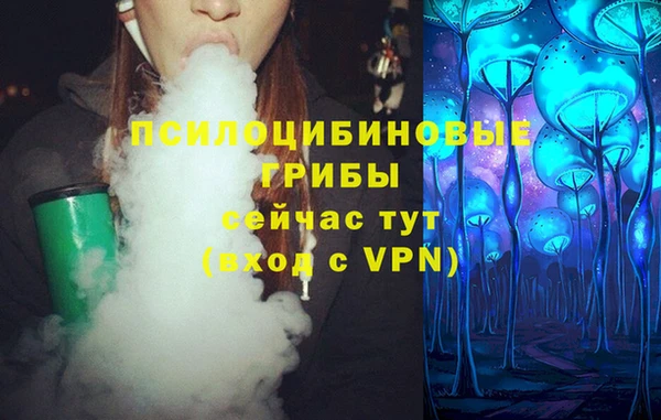 ПСИЛОЦИБИНОВЫЕ ГРИБЫ Нефтегорск