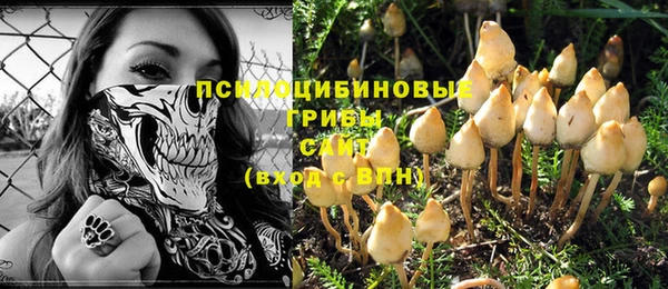 ешки Абдулино